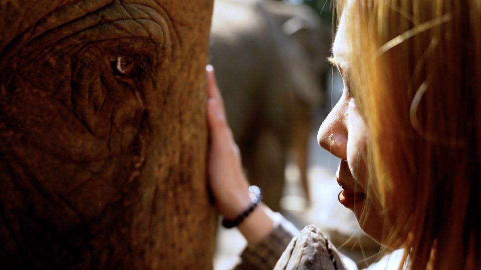A young woman rests her hand on an elephant, her eye beside its eye, at Green Jungle Park, Laos